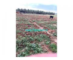 3 Acres Agriculture Land For Sale In Sulur