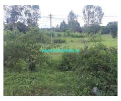 16 Guntas Farm Land For Sale In Budikote