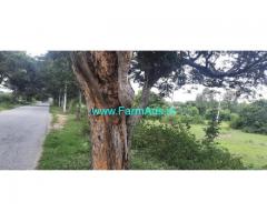16 Guntas Farm Land For Sale In Budikote
