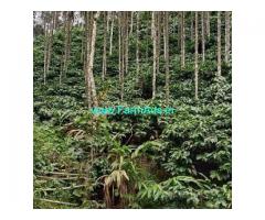 3 Acres Farm Land For Sale In Kalasa