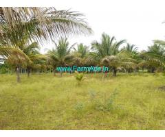 4 Acre Areca And Coconut Farm Available For Sale In Tumkur