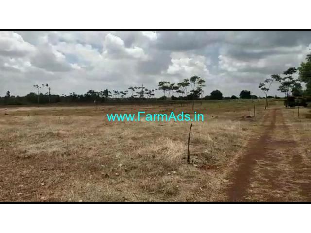 Low Cost 6 acres of agriculture land for Sale near Mustari village Low Cost 6 acres of agriculture land for Sale near Mustari village