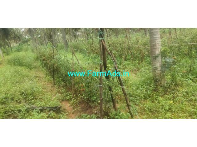 2 acre 15 Guntas Farm land for Sale near Kunigal 2 acre 15 Guntas Farm land for Sale near Kunigal