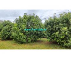 45 Acres Red soil Farm Land sale Near Tindivanam