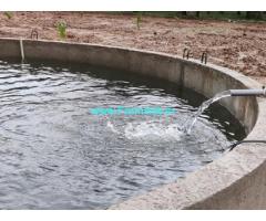 2.22 Acres Coconut Farm Land for Sale near Pollachi