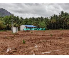 2.22 Acres Coconut Farm Land for Sale near Pollachi