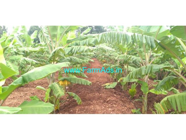 6.30 Acres Organic Farm For Sale near Kortagere 6.30 Acres Organic Farm For Sale near Kortagere