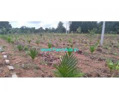 6.30 Acres Organic Farm For Sale near Kortagere 6.30 Acres Organic Farm For Sale near Kortagere
