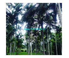 10 acre plantation for sale in Chikkamagalur