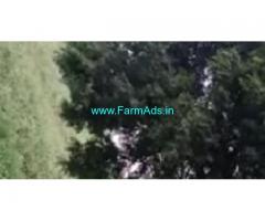 20 Gunta Farm Land For Sale In Vikarabad