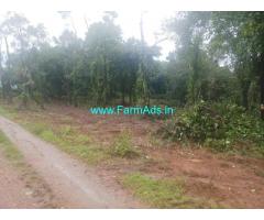 1.20 acre plain land sale in Mudigere