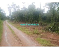 1.20 acre plain land sale in Mudigere