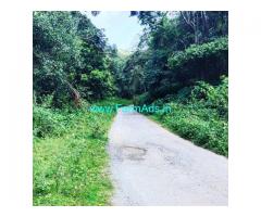 3 acre land for sale in Chikkamagalur