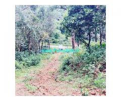 3 acre land for sale in Chikkamagalur