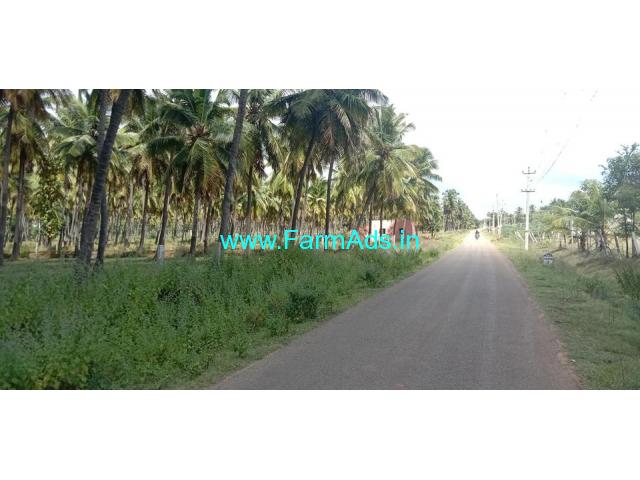 3.13 Acres Coconut Plantation with Canal Water for sale at  Aaranakatte 3.13 Acres Coconut Plantation with Canal Water for sale at  Aaranakatte