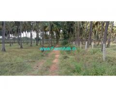 3.13 Acres Coconut Plantation with Canal Water for sale at  Aaranakatte 3.13 Acres Coconut Plantation with Canal Water for sale at  Aaranakatte