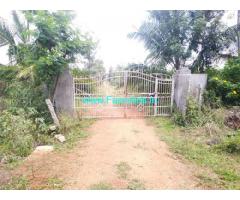 14 Acre yeilding pomegranate plantation Sale Near Parashurampura.