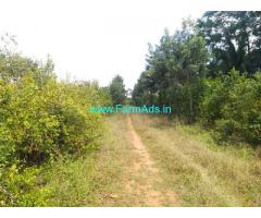 14 Acre yeilding pomegranate plantation Sale Near Parashurampura.