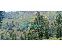 3.1 acres property for sale in Ooty