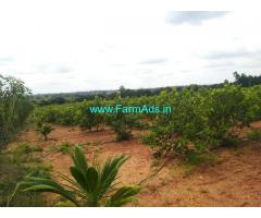 6.30 Acre developed Farmland sale near koratagere