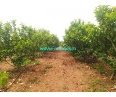 6.30 Acre developed Farmland sale near koratagere 6.30 Acre developed Farmland sale near koratagere