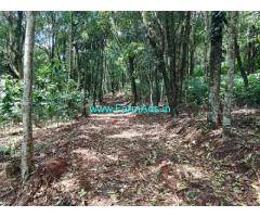 15 acre farm land sale in Sakaleshpur