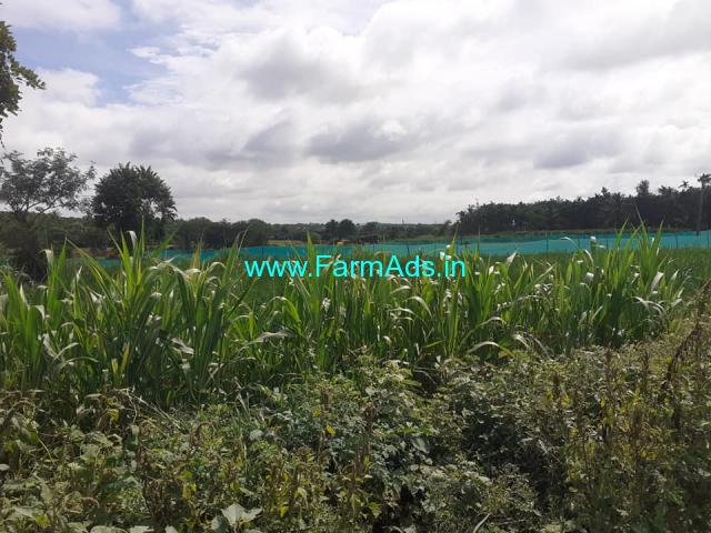 Village attached 1 acre farm land for sale at Gowdanakunte Village attached 1 acre farm land for sale at Gowdanakunte