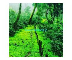 10 acre well maintained coffee estate for sale in Giri area