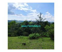 6 acres neglected coffee land for sale in Sakleshpur