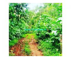 10 acre coffee estate for sale near Chikmagalur