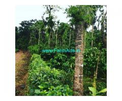 3 acre coffee estate for sale in Mudigere