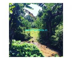 3.5 acre Agri land for sale in Mudigere