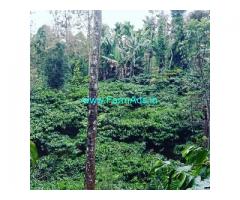 4 acre coffee estate for sale 40 km from Chikmagalur city
