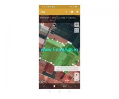 33 Acres Agriculture land for sale in Tipparthi