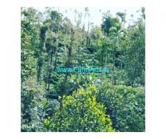 2 acre coffee estate for sale in Sakleshpur towards Mangalore