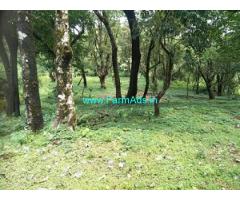 4 acres plain land sale in Mudigere
