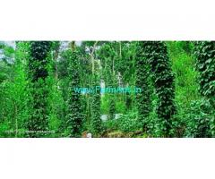 196 Acres Very low price coffee pepper estate sale in Kodaikanal