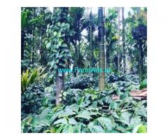 2.1 acre coffee plantation for sale in Mudigere ,Towards Bankal