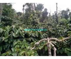 8 acre Robusta plantation sale in Mudigere