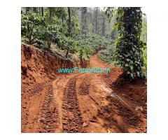 8.5 acre coffee estate for sale near Kogre, Jaypura Hornadu Road