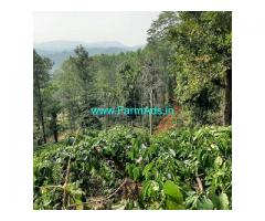 8.5 acre coffee estate for sale near Kogre, Jaypura Hornadu Road