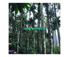 3 acre plantation for sale in Mudigere