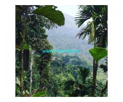 3 acre plantation for sale in Mudigere