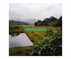 5 Acre young Areca Plantation With Agri land For sale Sakleshpur
