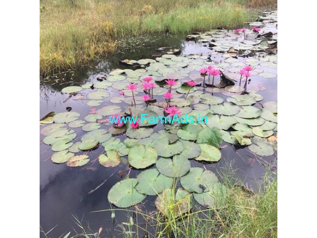 38 guntas with 23 guntas farm land for sale in Chikkaballapura 38 guntas with 23 guntas farm land for sale in Chikkaballapura