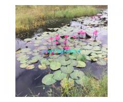 38 guntas with 23 guntas farm land for sale in Chikkaballapura