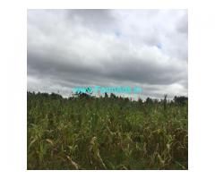 38 guntas with 23 guntas farm land for sale in Chikkaballapura 38 guntas with 23 guntas farm land for sale in Chikkaballapura