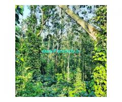 5.7 acres coffee estate for sale in Coorg