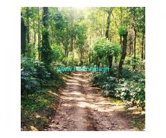 11 acre Arabica coffee plantation for sale in Mallandur road
