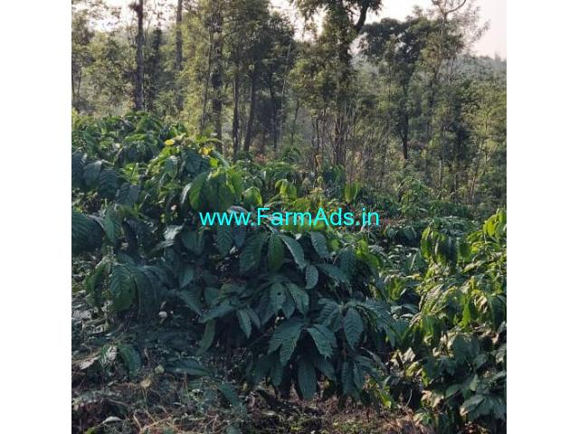 Half acre coffee plantation for sale in Sakleshpur Half acre coffee plantation for sale in Sakleshpur